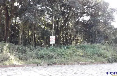 Terreno à venda na Rua Leonardo Murialdo, Ana Rech, Caxias do Sul