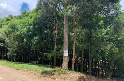 Terreno à venda na Rua Ismael José Rangel de Castilhos, Ana Rech, Caxias do Sul