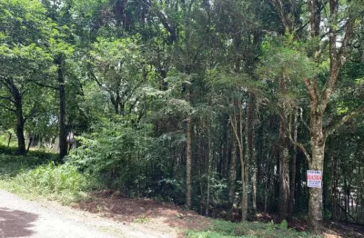 Terreno à venda na Rua Ismael José Rangel de Castilhos, Ana Rech, Caxias do Sul
