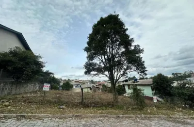 Terreno à venda na Rua Primitiva Zatti, São Ciro, Caxias do Sul