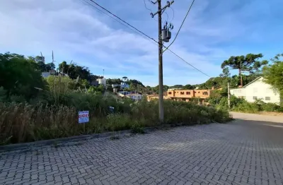 Terreno à venda na Rua Guilherme Rech, Ana Rech, Caxias do Sul