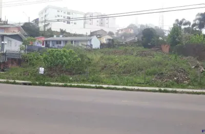 Terreno para venda  no bairro são cristóvão em caxias do sul