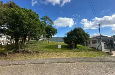 Terreno à venda na Rua Genor Perondi, Jardim Eldorado, Caxias do Sul
