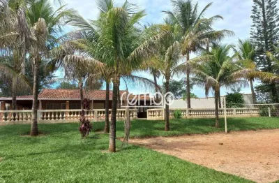 Chácara / sítio com 4 quartos à venda no Jardim Zelinda, Franca 