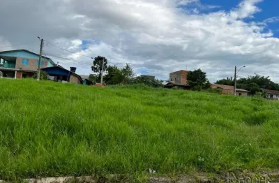 Terreno comercial à venda no Petrópolis, Novo Hamburgo 