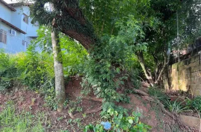 Terreno comercial à venda no Rincão, Novo Hamburgo 