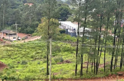 Terreno comercial à venda no Padre Eterno Seges, Santa Maria do Herval 