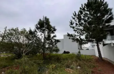 Terreno comercial à venda no São Jacó, Sapiranga 