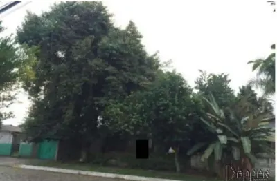 Terreno comercial à venda no Feitoria, São Leopoldo 