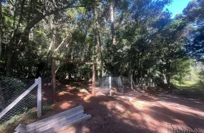 Terreno comercial à venda na Linha Gorgen, Morro Reuter 