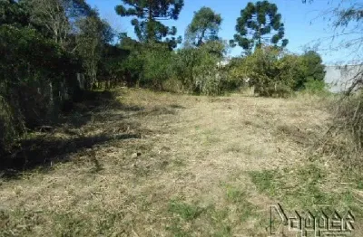 Terreno comercial à venda no Hamburgo Velho, Novo Hamburgo 