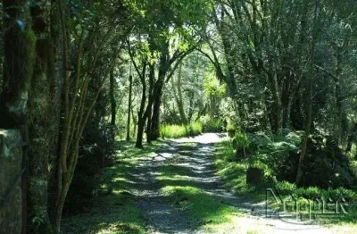 Terreno comercial à venda na Vila Suiça, Gramado 