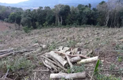 Terreno comercial à venda no Distrito Sede, Nova Hartz 
