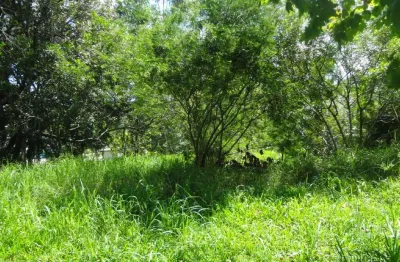 Terreno comercial à venda no Quatro Colônias, Campo Bom 