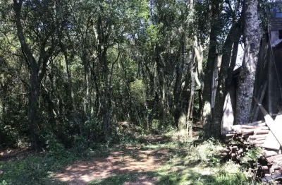 Terreno comercial à venda no Centro, Morro Reuter 
