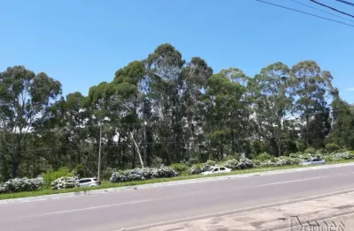 Terreno comercial à venda no Avenida Central, Gramado 