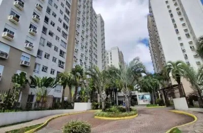 Apartamento com 2 quartos para alugar no Jardim Mauá, Novo Hamburgo 