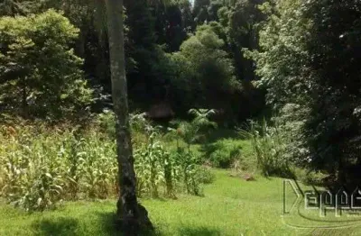Terreno comercial à venda no Centenário, Sapiranga 