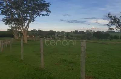 Terreno à venda na Avenida Alfredo Teodoro De Oliveira, Centro, Neves Paulista