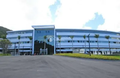 Sala comercial para alugar na rodovia josé carlos daux, 5500, saco grande, florianópolis, 80 m2 por r$ 5.600