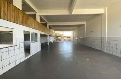 Barracão / galpão / depósito para alugar na rodovia armando calil bulos, 2115, ingleses do rio vermelho, florianópolis, 550 m2 por r$ 14.000