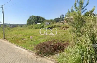 Terreno de 344,30m² à venda no bairro são caetano, em caxias do sul - rs.
