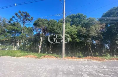 Terreno de 2152,5m² à venda no bairro nossa senhora do rosário, caxias do sul - rs.