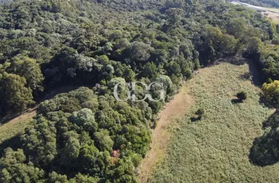 Terreno à venda no São Cristóvão (Distrito), Flores da Cunha 
