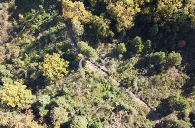 Área rural à venda no são cristóvão, flores da cunha-rs.