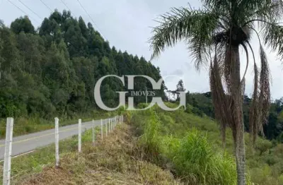 Chácara de 20.000m² na segunda légua, caxias do sul/rs.
