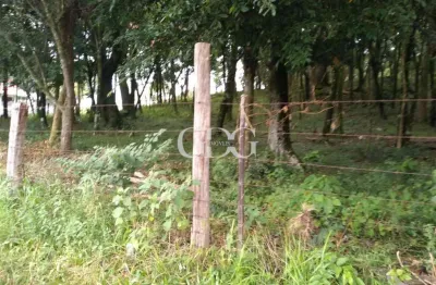 Terreno de esquina no cruzeiro em caxias do sul - rs.