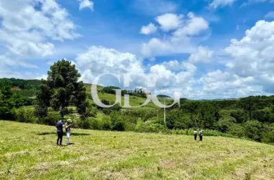 Chácara / sítio à venda no Santa Lúcia do Piaí, Caxias do Sul 