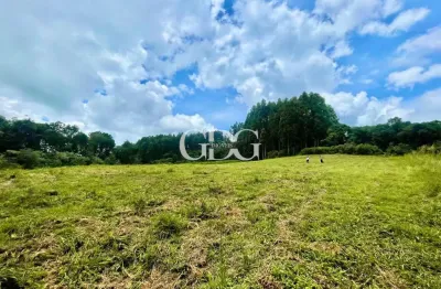 Chácara / sítio à venda no Santa Lúcia do Piaí, Caxias do Sul 