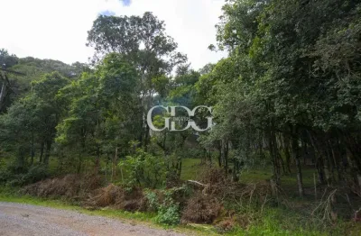 Terreno à venda no Jardim Eldorado, Caxias do Sul 