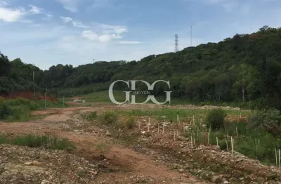 Terreno plano de 1,9 hectares à venda localizado próximo ao trevo de acesso à linha 40, em caxias do sul-rs.