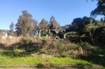 Terreno à venda em Zorzi, Caxias do Sul 