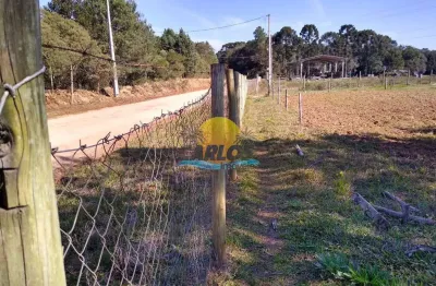 Chácara / sítio com 1 quarto à venda na principal do campo alto, 1314, campo alto, tijucas do sul por r$ 265.000
