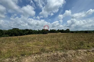 Chácara / sítio à venda na Rua João Mário Furman, Lagoa Suja, Araucária