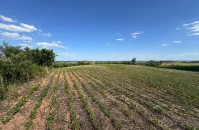 Fazenda à venda no Centro, Contenda 