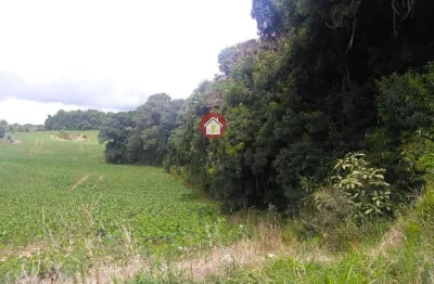 Terreno à venda na Rua Adão Fila, Lagoa Suja, Araucária