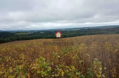Terreno à venda no Centro, Balsa Nova 