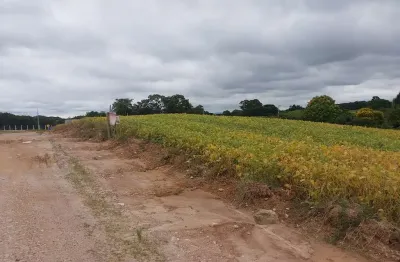 Chácara / sítio à venda no Centro, Araucária 