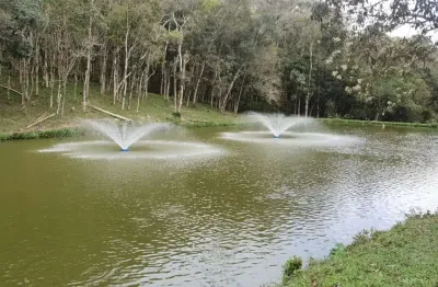 Chácara / sítio com 4 quartos à venda no Chimboveiro, Mandirituba 