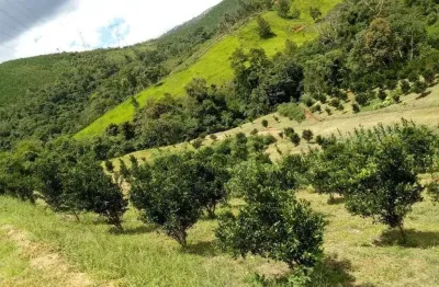 Chácara / sítio com 2 quartos à venda no Centro, Cerro Azul 
