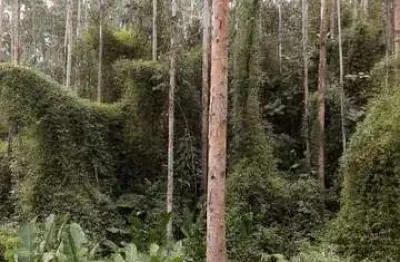 Chácara / sítio à venda na Campina  Grande Do Sul - Pr., Centro, Campina Grande do Sul