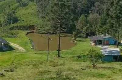 Chácara / sítio à venda na Matulão, TIJUCAS DO, Matulão, Tijucas do Sul