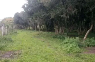 Chácara / sítio à venda em Weissópolis, Pinhais 