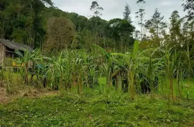 Chácara / sítio com 2 quartos à venda na Morretes - Pr, Centro, Morretes