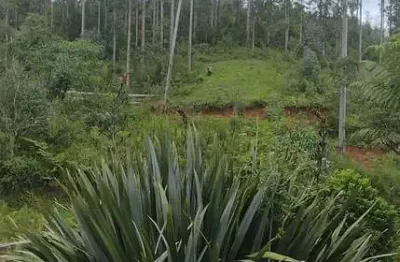Chácara / sítio à venda na Estrada Dos Jesuitas, 777 - QUAT, Ribeirão do Tigre, Quatro Barras