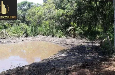Chácara / sítio à venda na Quitandinha - Pr, Campina de Quitandinha, Quitandinha